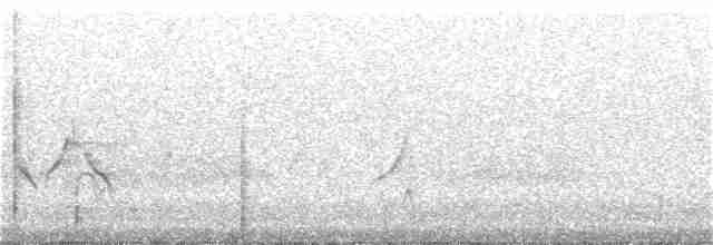 Пустынный ворон - ML193857351