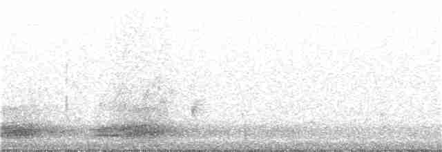 Пустынный ворон - ML193860701
