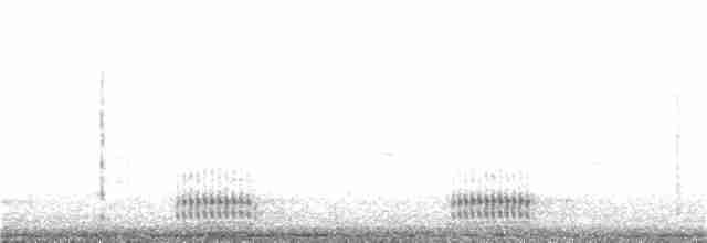 Короткохвостый ворон - ML193864121