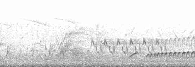Güneyli Bıyıksız Tiranulet [obsoletum grubu] - ML19387