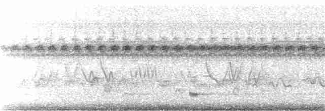 marskmaursmett (paludicola) - ML193883411