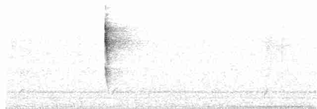 Troglodyte de Baird - ML193954531