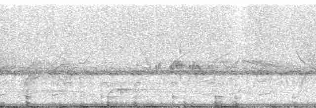 Güneyli Bıyıksız Tiranulet [obsoletum grubu] - ML19397