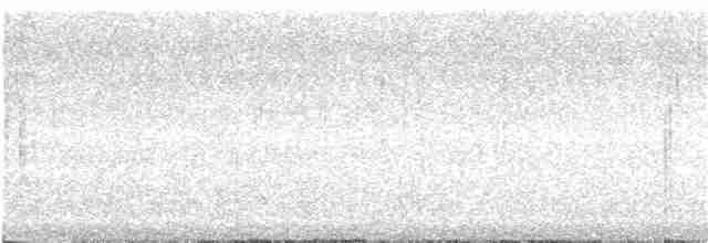 White-eared Honeyeater - ML194085781