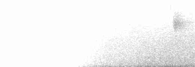 Philippinenschlangenadler - ML194095631