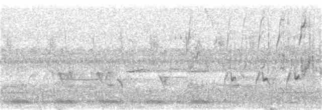 ミナミクロアマツバメ（barbatus グループ） - ML194113151