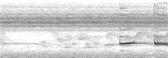 Striped Kingfisher - ML194113511