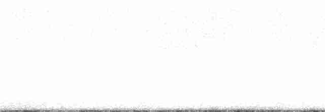 Белокрылый корхан - ML194118891