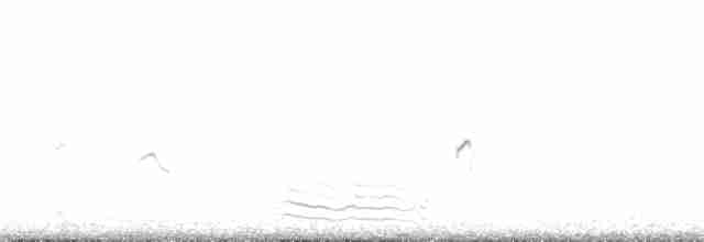 Little Ringed Plover - ML194271011