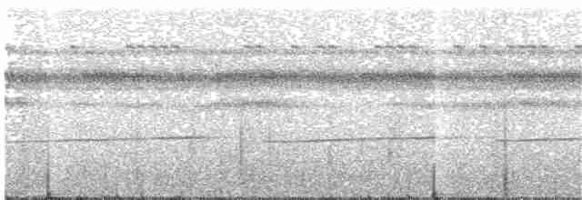 Bürzelbinden-Ameisenfänger - ML194271211
