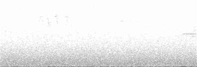 Troglodyte de Baird - ML194301041