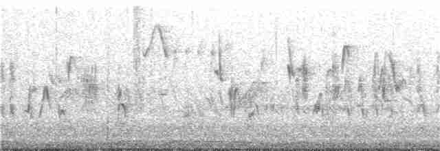 Eastern Orphean Warbler - ML194307771