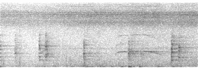 Trompetero Aliverde Occidental (obscura) - ML194567101