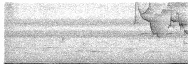 White-naped Brushfinch - ML194574391