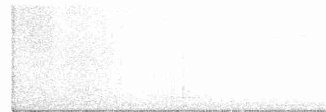 nøtteskrike (japonicus gr.) - ML194639061