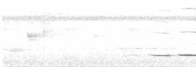 Gözlüklü Yerçavuşu - ML194782391