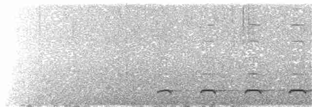 Сичик-горобець андійський - ML194846851
