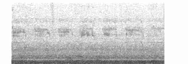 Common Tern - ML194925821