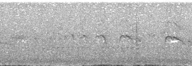 Серпокрилець-вилохвіст великий - ML194934