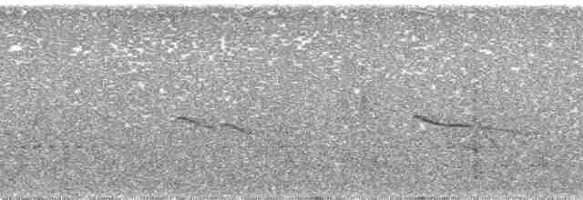Серпокрилець-вилохвіст великий - ML194935
