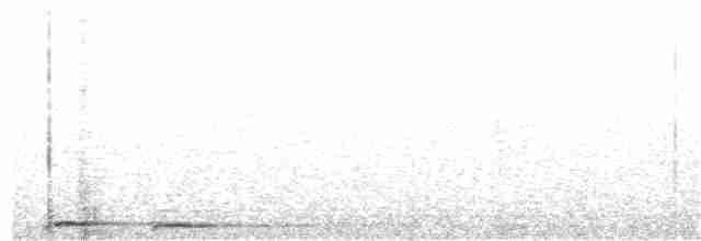 Сова-голконіг австралійська - ML194940311
