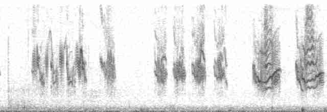Kutup İsketesi (exilipes) - ML194974