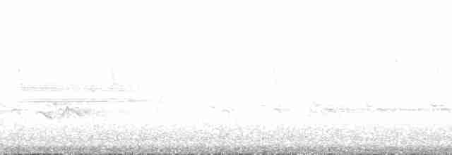 Дятел-смоктун червоноголовий (підвид ruber) - ML194996
