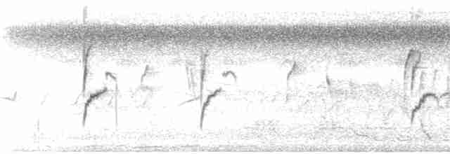 Тиранчик-тонкодзьоб південний - ML195015711