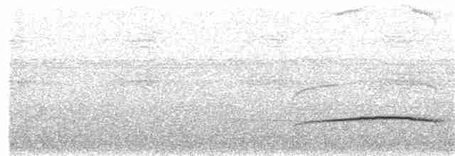 Tufted Antshrike - ML195029881
