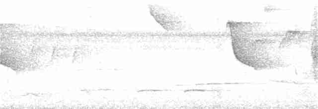 Orejerito de Anteojos - ML195047321