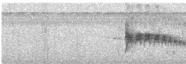 Kara Gagalı Sinekkapan - ML195121561