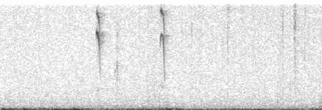 kullkronetanagar (auricularis) (svartkinntanagar) - ML195134