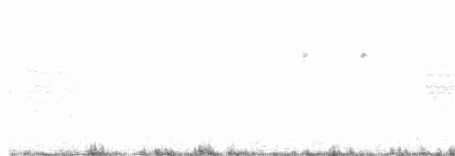 Kara Kuyruklu Bitkuşu - ML195145491
