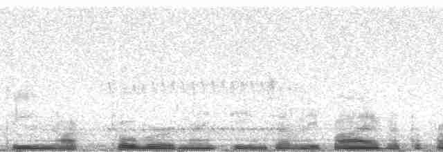 Тиран-інка буроголовий - ML19515