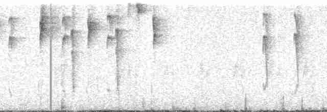マミジロモリフウキンチョウ（auricularis） - ML195158