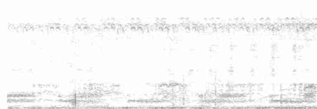 白腹秧雞 - ML195158431