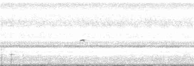 Little Ringed Plover - ML195159091
