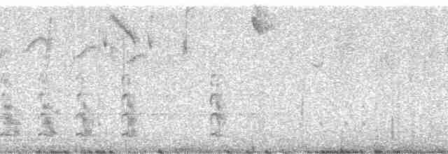 Safir Kanatlı Kolibri - ML195166