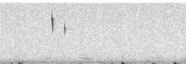 Safir Kanatlı Kolibri - ML195168