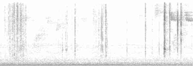 Желтоклювый кассик (holosericeus/flavirostris) - ML195185