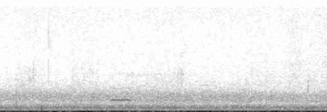 Сичик-горобець гірський [група californicum] - ML195215