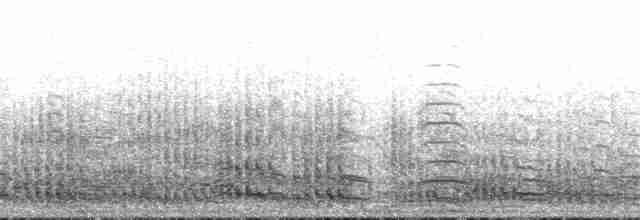 Журавель канадський (підвид canadensis) - ML195217