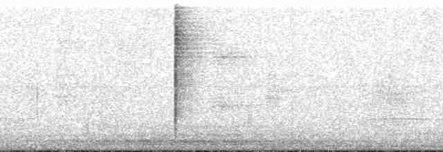 Тиранка світлогорла - ML195250
