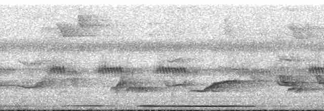 holub bledočelý [skupina verreauxi] - ML195279