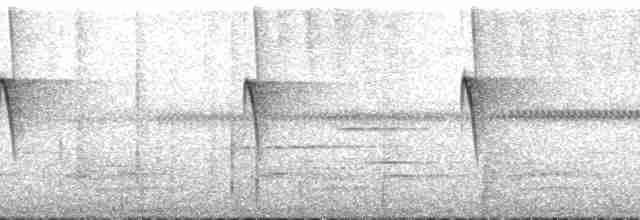 Colibri à gorge lilas - ML195314