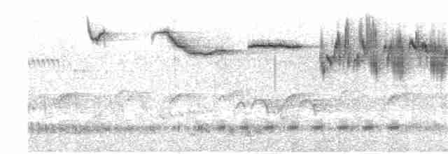 Морогорская нектарница - ML195344781