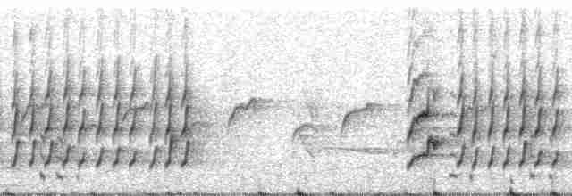 Tepeli Çömlekçikuşu - ML195351