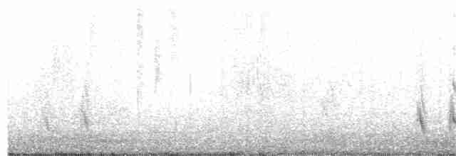Boz Alınlı Sinekkapan - ML195435701