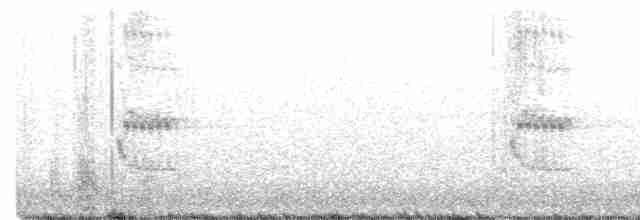 Loggerhead Shrike - ML195445161