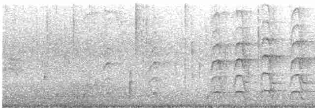 Carpintero de Gila - ML195480351